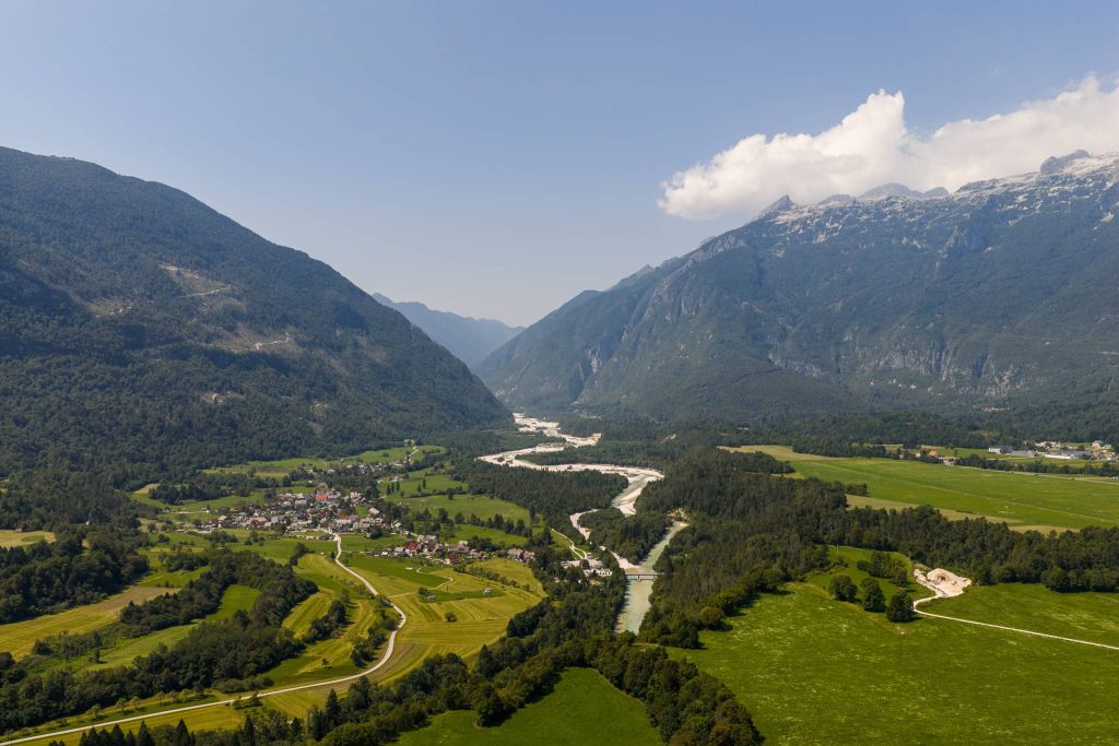 BOVEC17